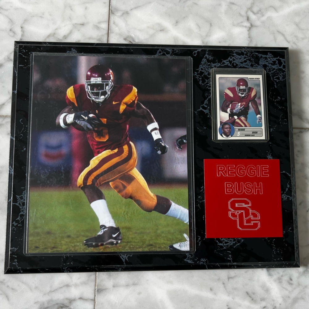 Collectible Reggie Bush USC Running Back Wall Display